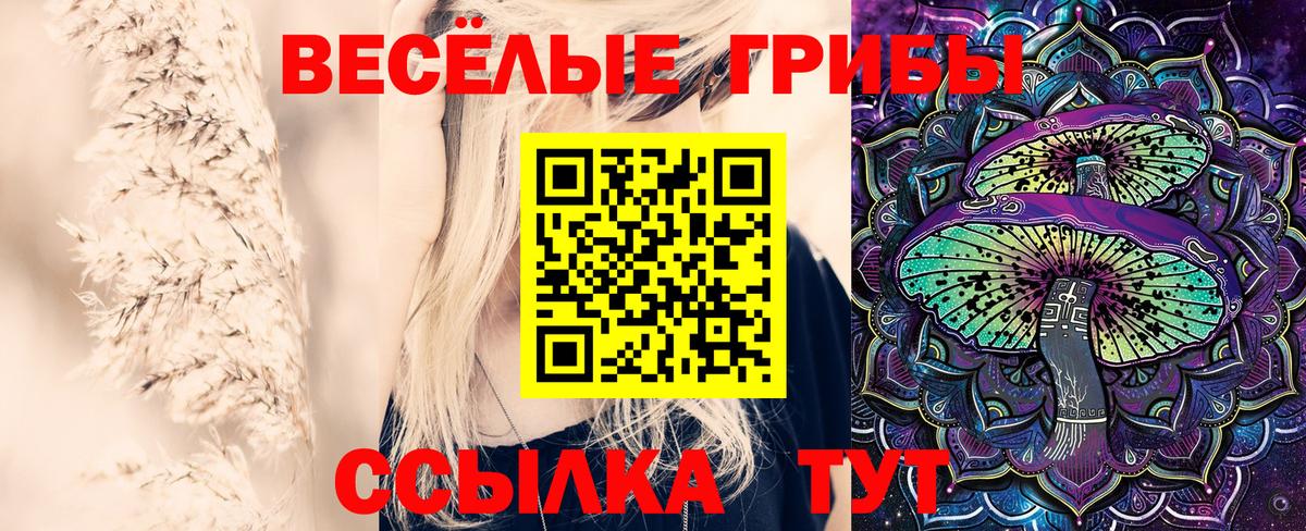 Галлюциногенные грибы Magic Shrooms  Псилоцибиновые грибы Psilocybine cubensis  Батайск  Вход с VPN 
